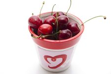 Red Cherries In The Cup Royalty Free Stock Images