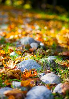 Autumn Stones Royalty Free Stock Photography
