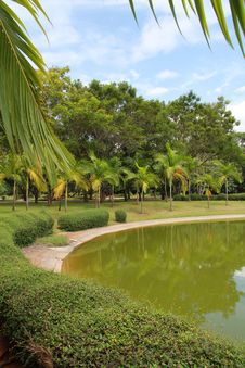 Tarn On Afternoon Royalty Free Stock Photos Tarn On Afternoon Royalty Free Stock Photos