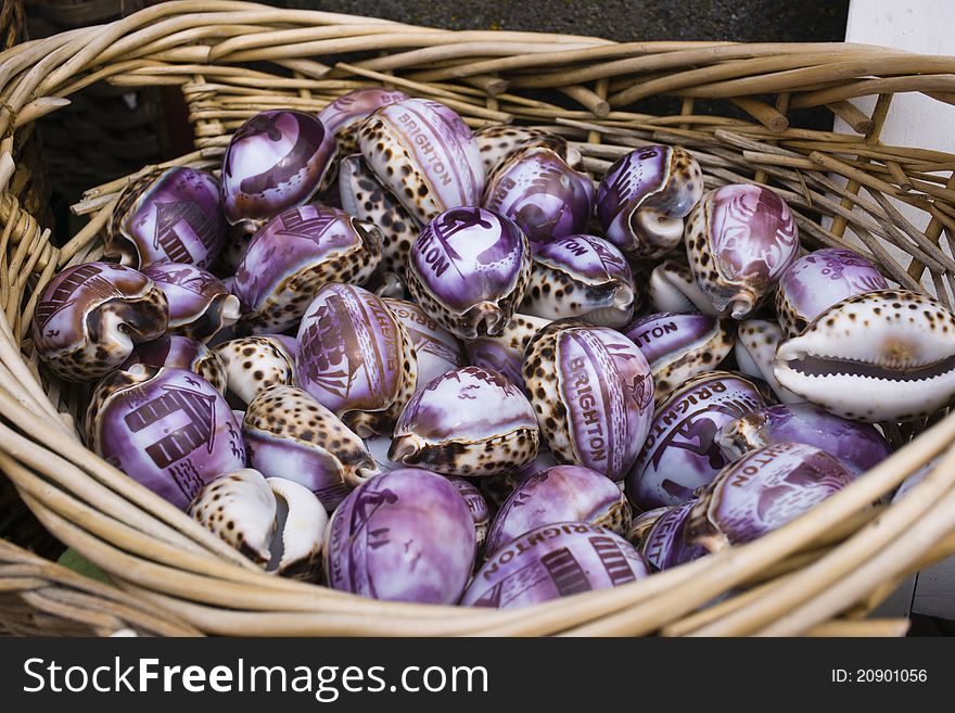 Lots of purple seashells in basket