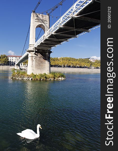 Footbridge and swan on Rhone river in Lyon city. Footbridge and swan on Rhone river in Lyon city