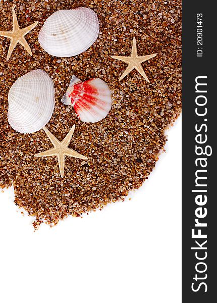 Seashells and seastars over sea sand background. Seashells and seastars over sea sand background