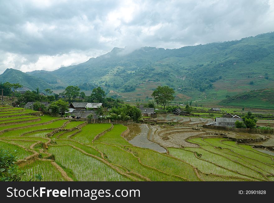 A view of a Hmong village in Sapa Valley. You can rent rooms in stayhomes and spend some time with people of the Hmong tribe. A view of a Hmong village in Sapa Valley. You can rent rooms in stayhomes and spend some time with people of the Hmong tribe.