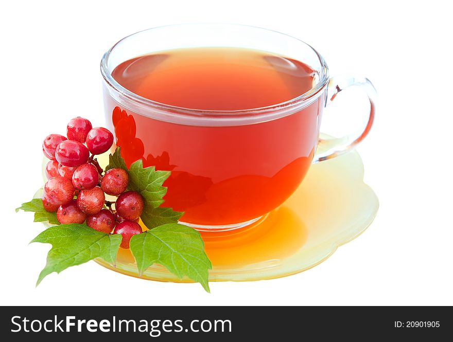 Cup of tea with viburnum isolated on white  background