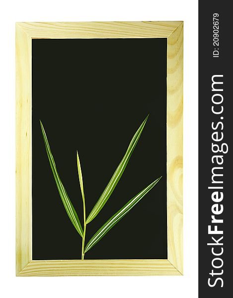 Bamboo leaf on black board