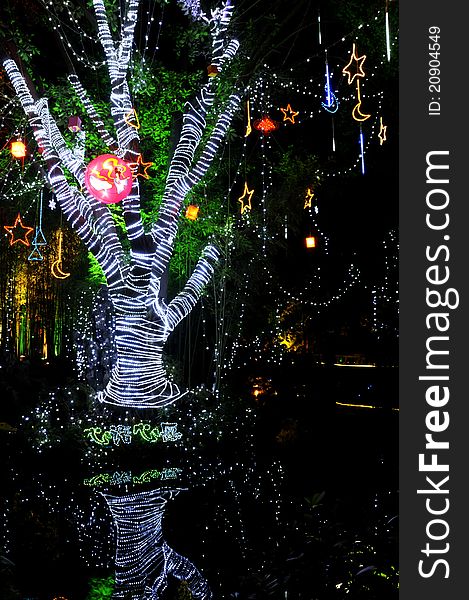 Alone tree with coloured lights. Alone tree with coloured lights