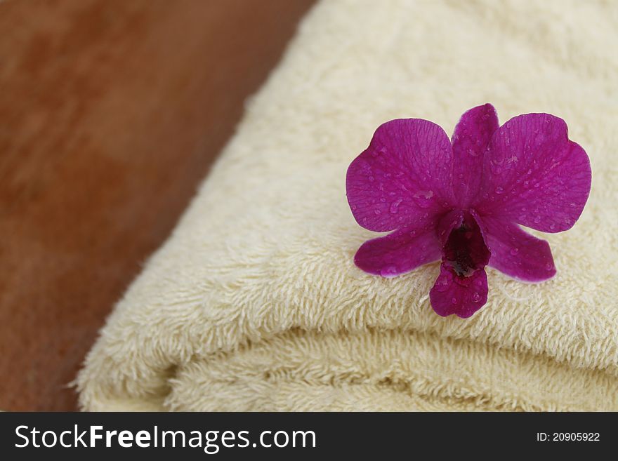Beautiful pink orchid on spa towel