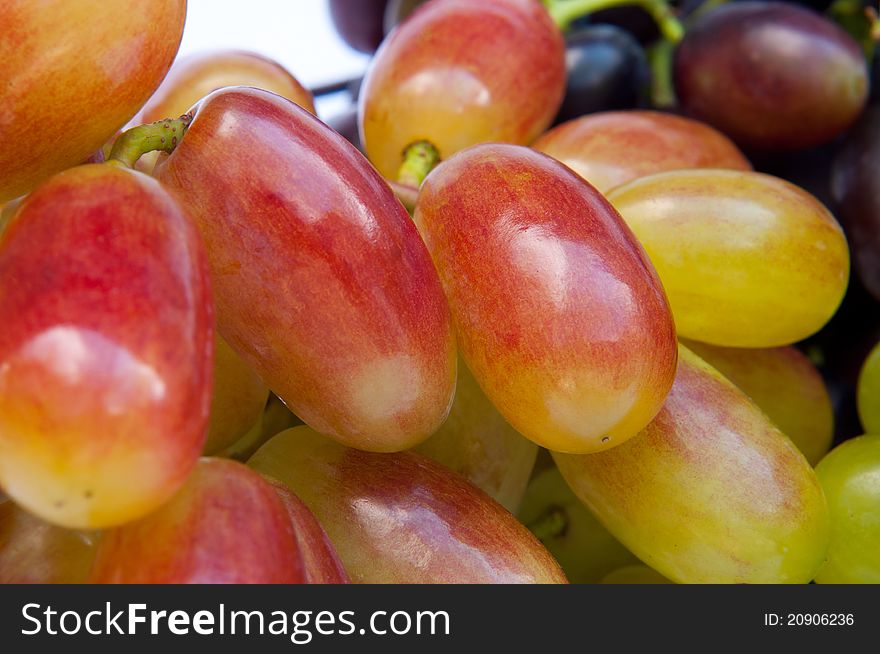 The picture shows a bunch of grapes. The picture shows a bunch of grapes