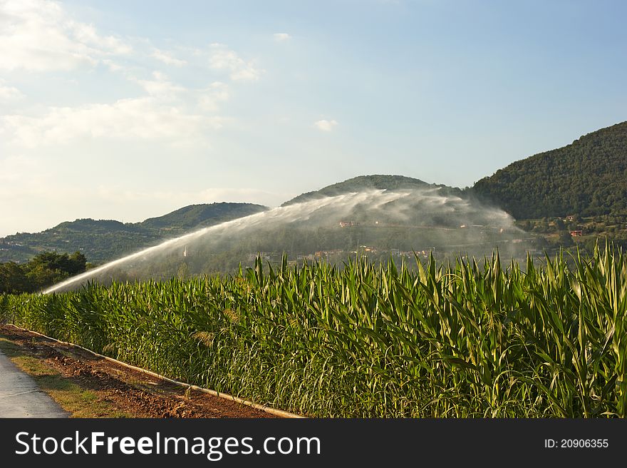 Cannon shoots water to irrigate crops. Cannon shoots water to irrigate crops