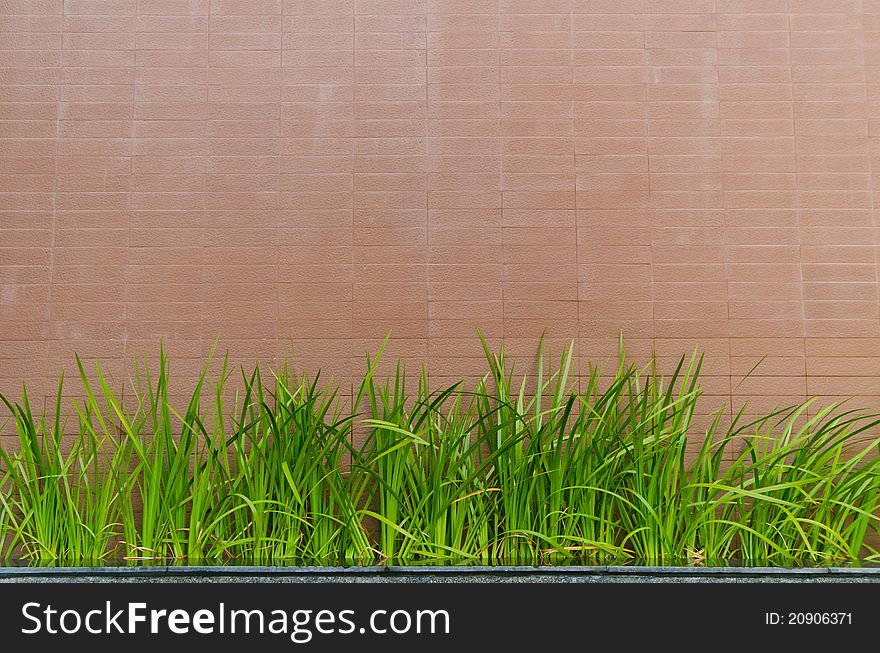 Stone wall background with grass