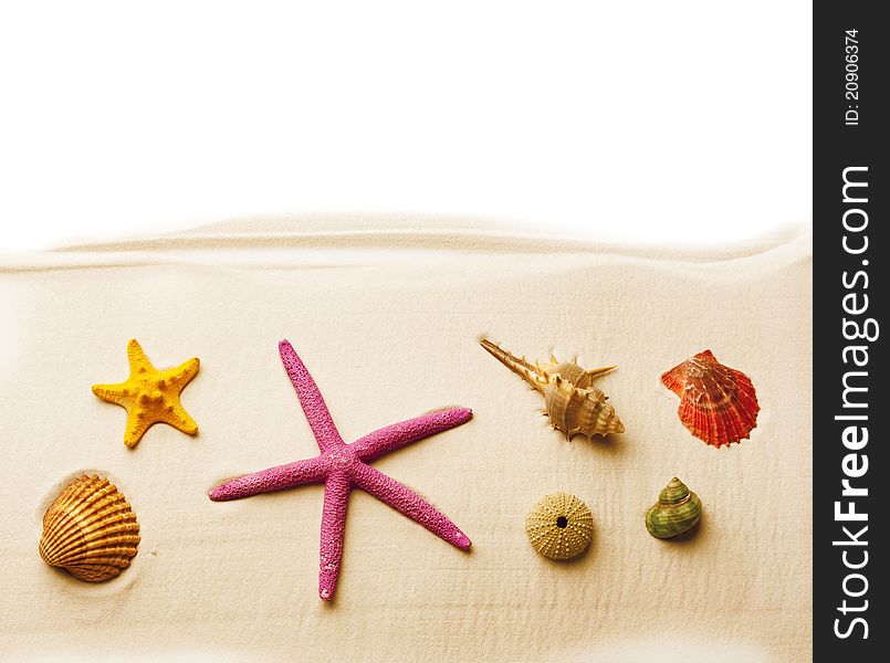 Colorful seashells and starfishes on the sand; summer background. Colorful seashells and starfishes on the sand; summer background