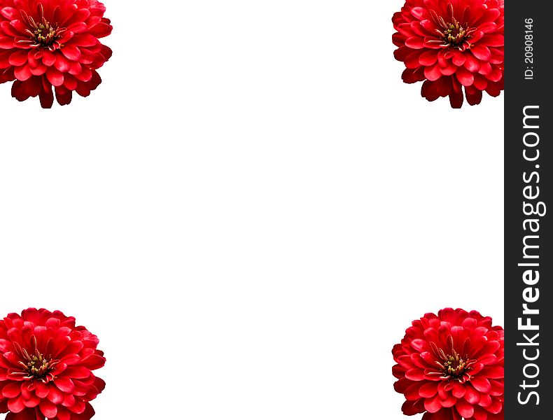 Red Flowers Frame on White Background. Red Flowers Frame on White Background