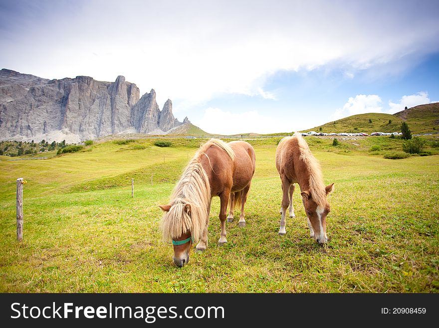 Two ponies eating grass - mountain rural landscape