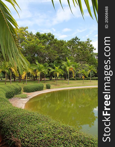 Water reflects the green shadows of the trees on afternoon. Water reflects the green shadows of the trees on afternoon