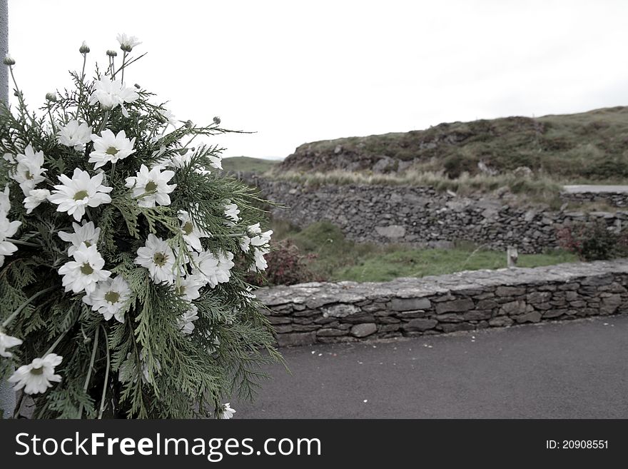 Bouquet of white flowers in a rural irish setting. Bouquet of white flowers in a rural irish setting