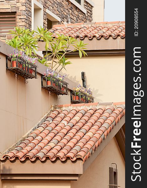 The crisscross red roof with plants. The crisscross red roof with plants