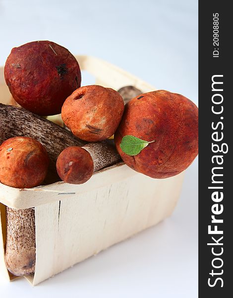 Basket with orange-cup boletuses. Basket with orange-cup boletuses