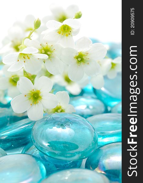 Beautiful white flowers on blue glass stones