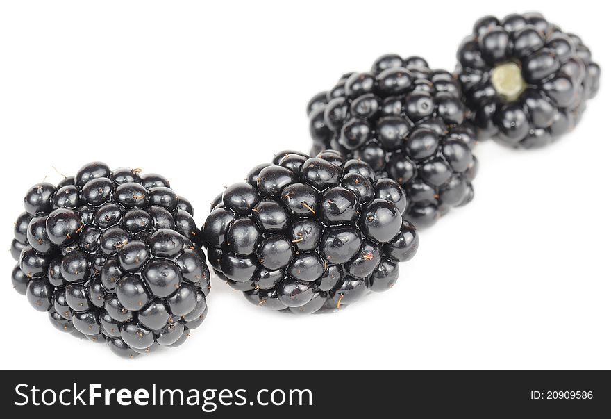 Four blackberries on a white background