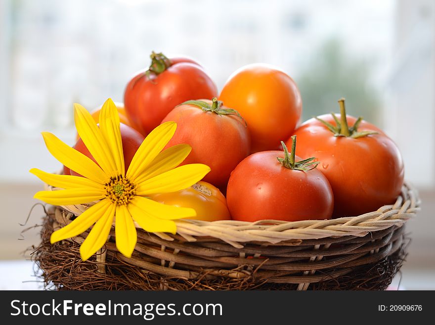 Ripe tomatoes and flower in basket
