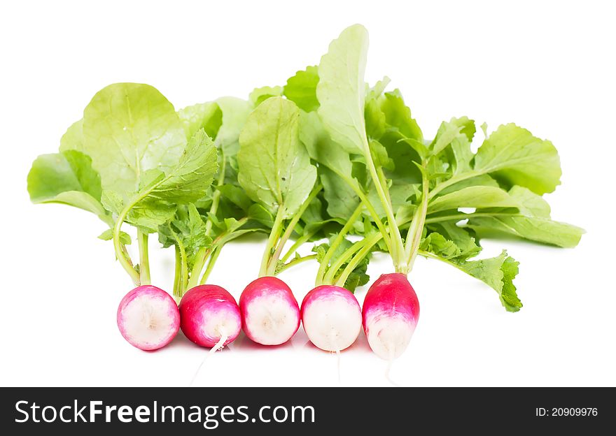 A bunch of fresh garden radishes over white background