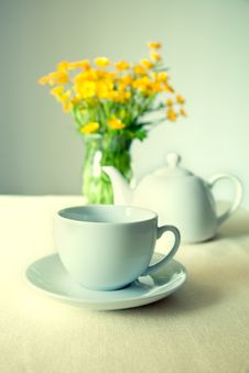 Cup Of Tea Stock Image Cup Of Tea Stock Image
