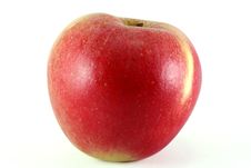 Single Apple Stock Images Single Apple Stock Images