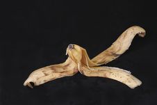 Banana Skin Stock Image