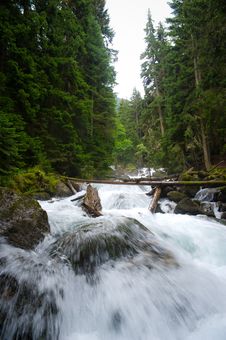 Falls In Wood, The Mountain River Stock Images Falls In Wood, The Mountain River Stock Images
