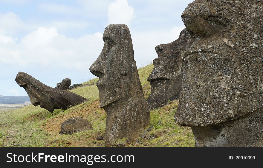 Moai statues in Easter Island. Moai statues in Easter Island