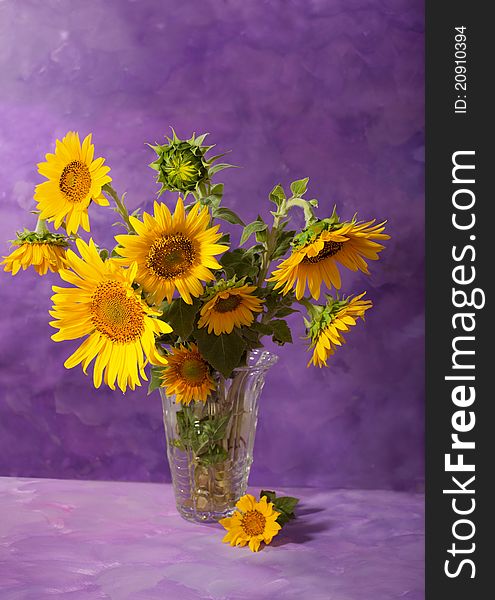 Sunflowers in a transparent glass vase on abstract background