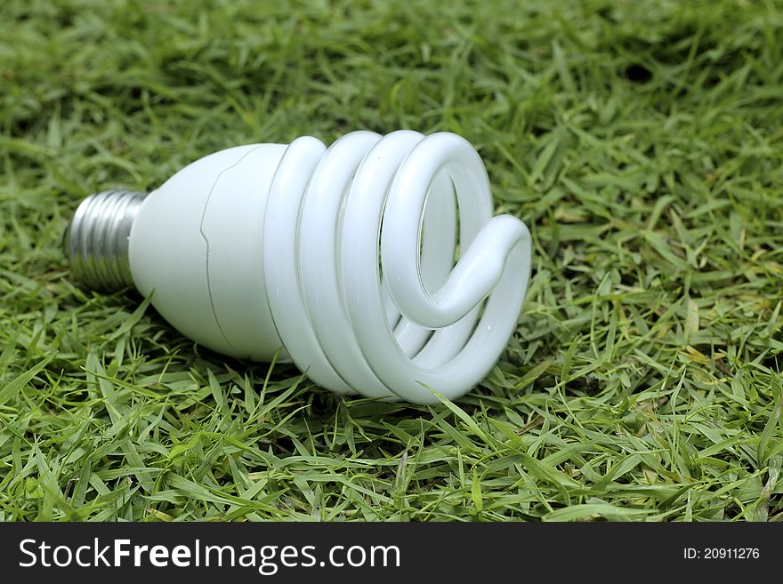 Light bulb on a green grass back to nature concept. Light bulb on a green grass back to nature concept.