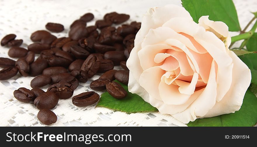 Grains of coffee with a white rose against a lacy cloth