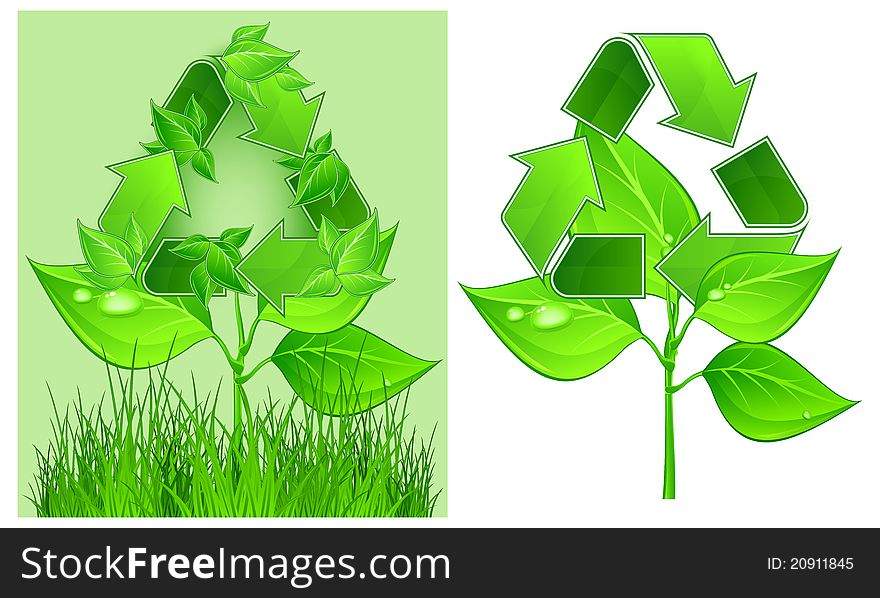 Green recycle symbol on plant on white background, vector illustration. Green recycle symbol on plant on white background, vector illustration