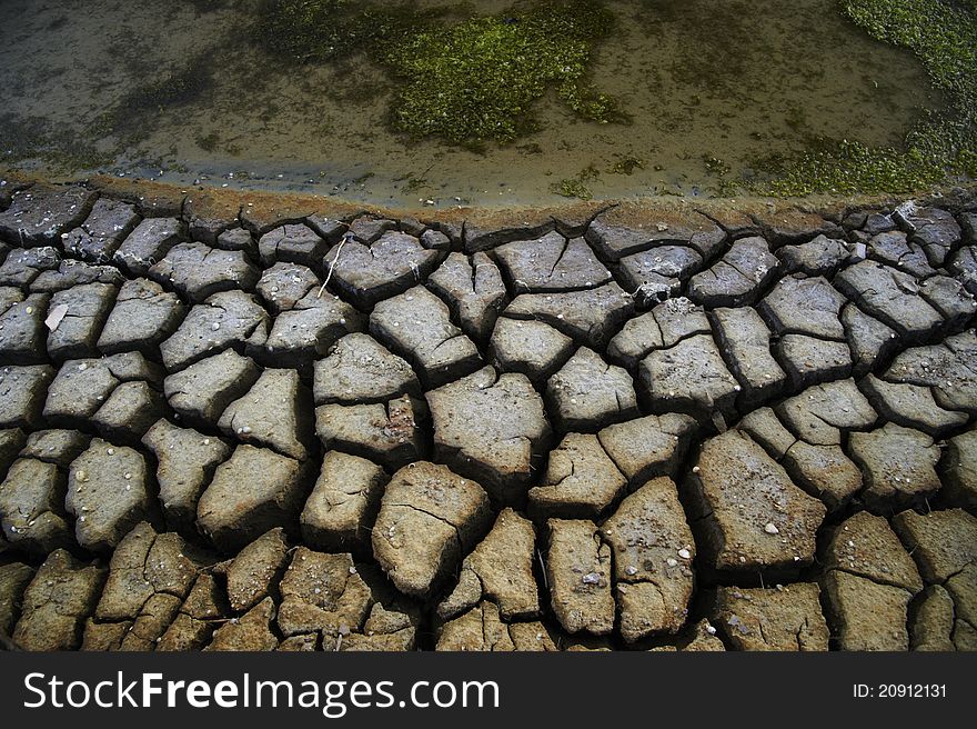 Cracked and dried mud texture. Cracked and dried mud texture