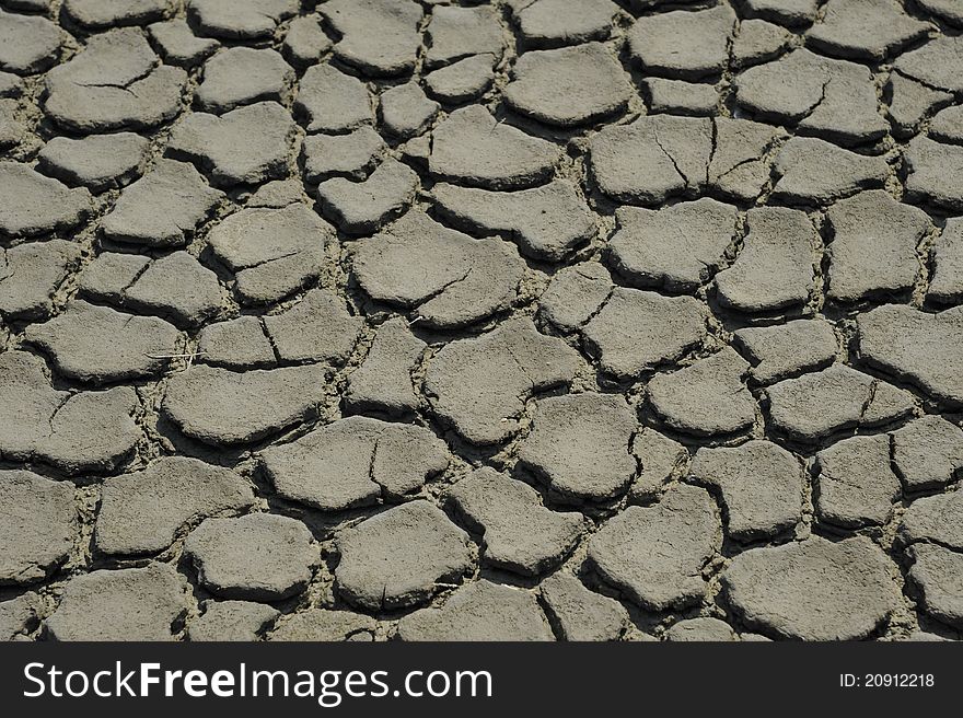 Cracked and dried mud texture. Cracked and dried mud texture