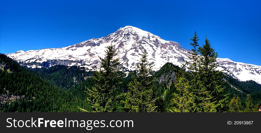 Mount Rainier National Park is one of the most beautiful places to visit.