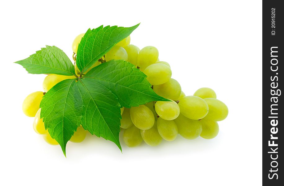 Bunch of fresh grapes with leaf, on white background