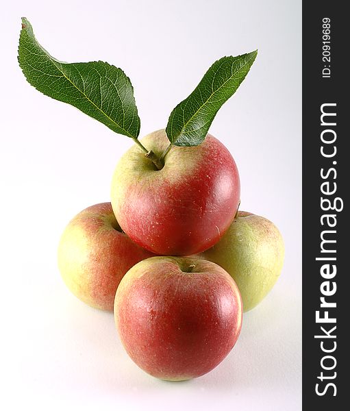 Four home grown organic apples isolated on a white background. Four home grown organic apples isolated on a white background