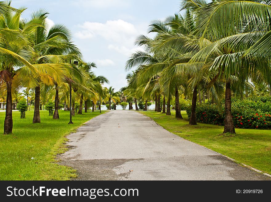 Road in tropical garden green