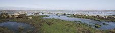Scarborough North Bay Royalty Free Stock Images Scarborough North Bay Royalty Free Stock Images