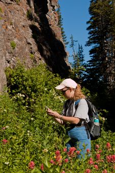 Woman Searching For A Geocache Stock Image Woman Searching For A Geocache Stock Image