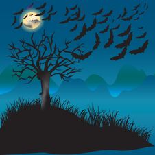 Bats Flying In The Moonlight Stock Images Bats Flying In The Moonlight Stock Images