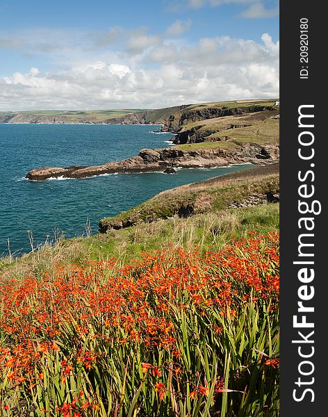 Landscape on the coast at Port Isaac in Cornwall. Landscape on the coast at Port Isaac in Cornwall