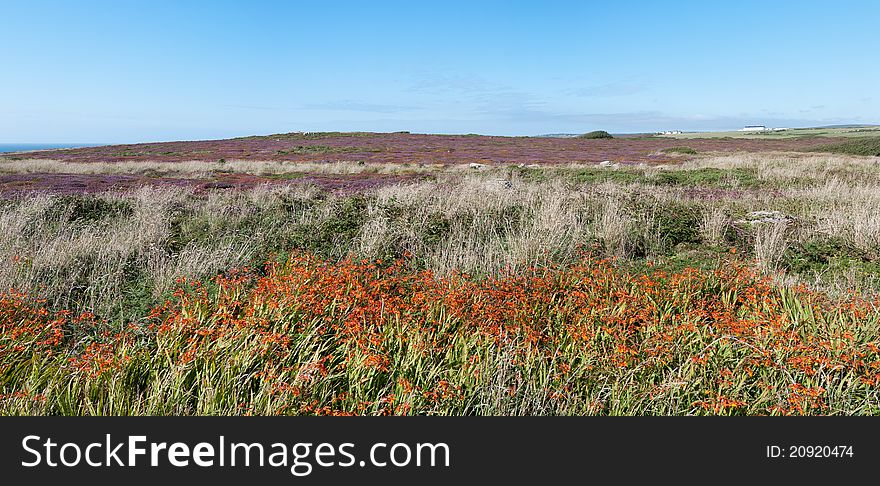 Overview of the landscape at Lands End in Cornwall