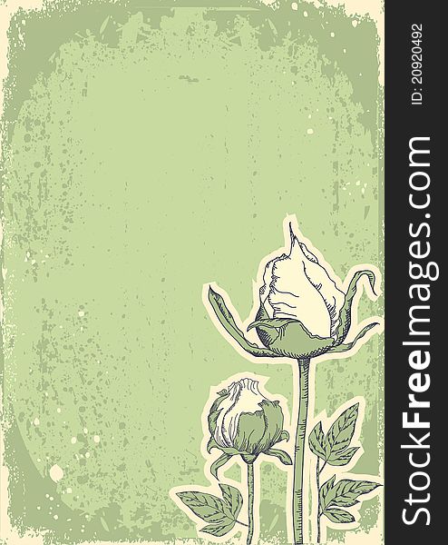 Vintage floral postacardfor design.Vector grunge image