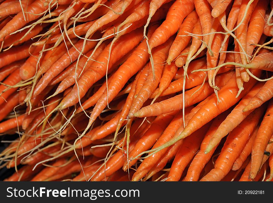 Freshly picked carrots from the garden. Freshly picked carrots from the garden