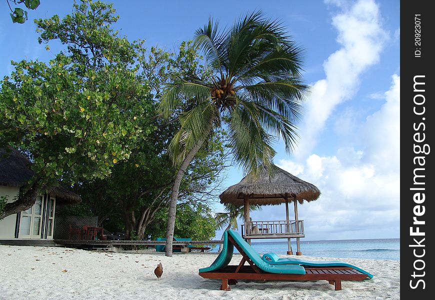 Sunny day on beaches of fantastic islands Maldives. Sunny day on beaches of fantastic islands Maldives