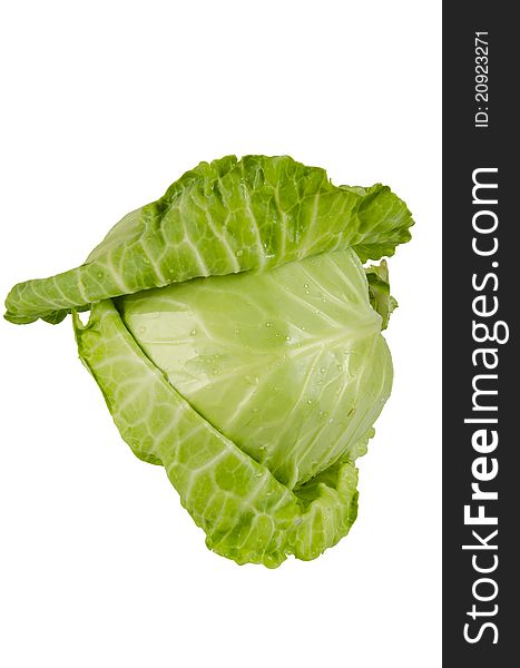 Cabbage Isolated On White