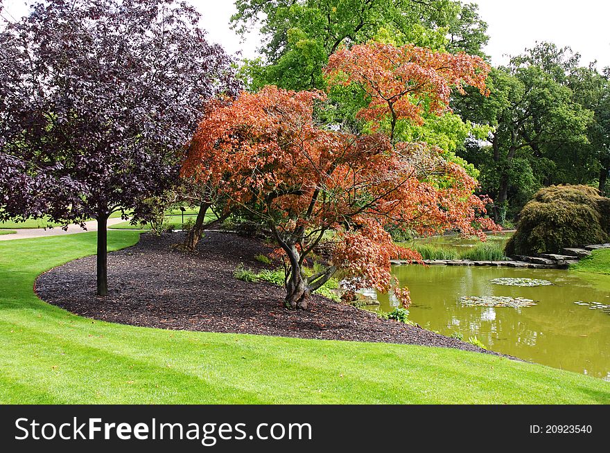 An English Landscape garden with Lake and colorful Maple Trees. An English Landscape garden with Lake and colorful Maple Trees